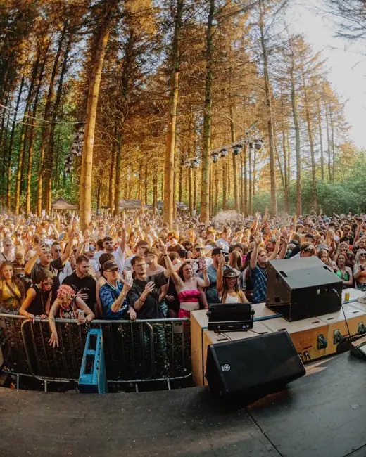 DnB Allstars x Woodland Dance Project